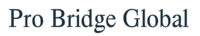 Probridgeglobal.com